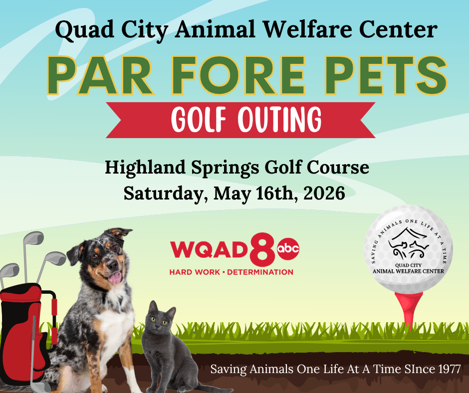 Par fore pets facebook